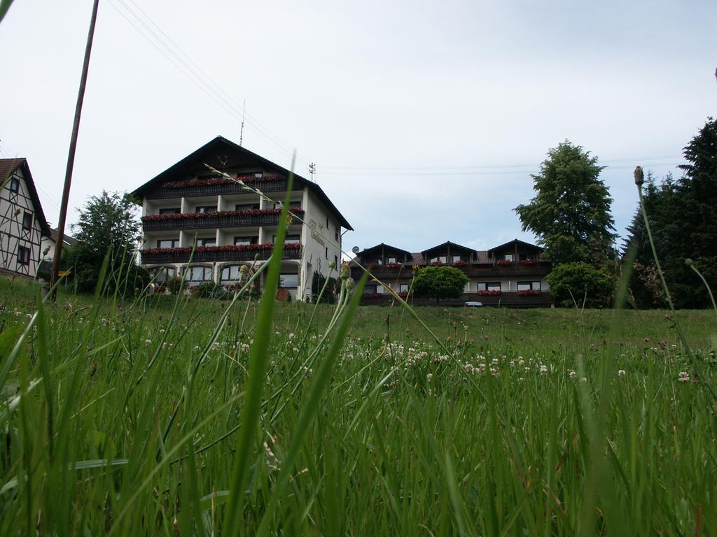 Landgasthof Waldfrieden Hotel Wildensee Kültér fotó